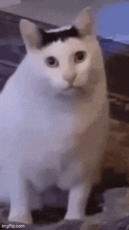 a white cat with a black spot on its head is standing on a bed looking at the camera .