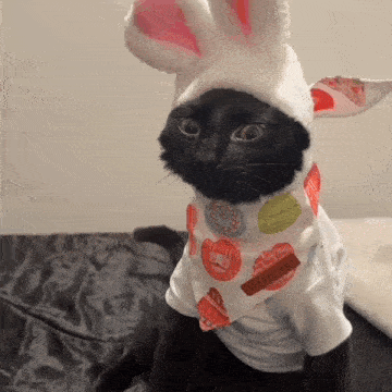 a black cat wearing bunny ears and a white shirt with easter eggs on it