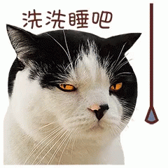 Emoji Cat GIF - Emoji Cat Angry GIFs