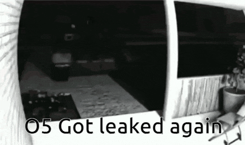a black and white photo of a room with the words 05 got leaked again
