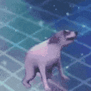 a pink dog is swimming in a pool .