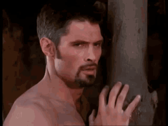 a shirtless man with a beard and mustache is standing next to a tree .
