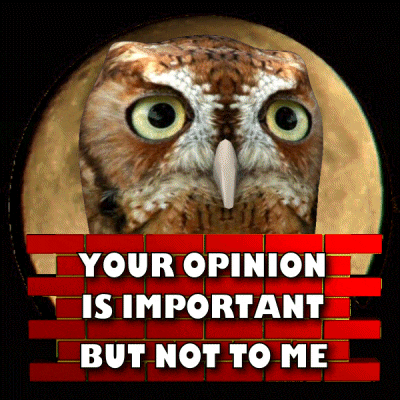 a poster with an owl and the words " your opinion is important but not to me "