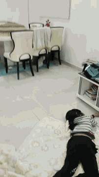 Cat Sussy GIF - Cat Sussy Murder GIFs