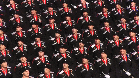 a large group of soldiers are marching in a parade