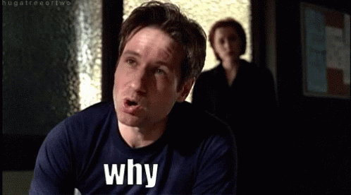 Why Fox Mulder GIF - Why Fox Mulder The X Files GIFs