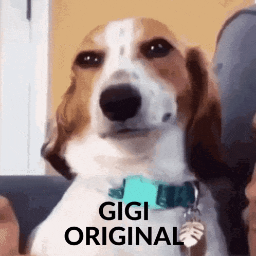 Gigi Original GIF - Gigi Original Gigi Original GIFs