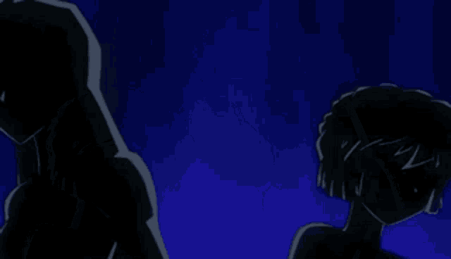 a silhouette of a man and a woman standing next to each other in a dark room .