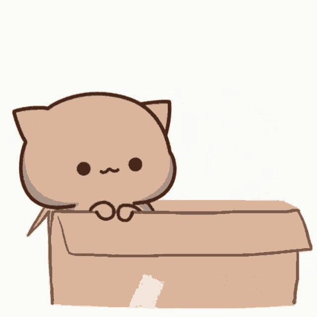two cartoon cats are sitting in a cardboard box and one has a t on its face