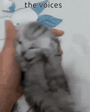 a person holding a kitten with the words " the voices " written above it