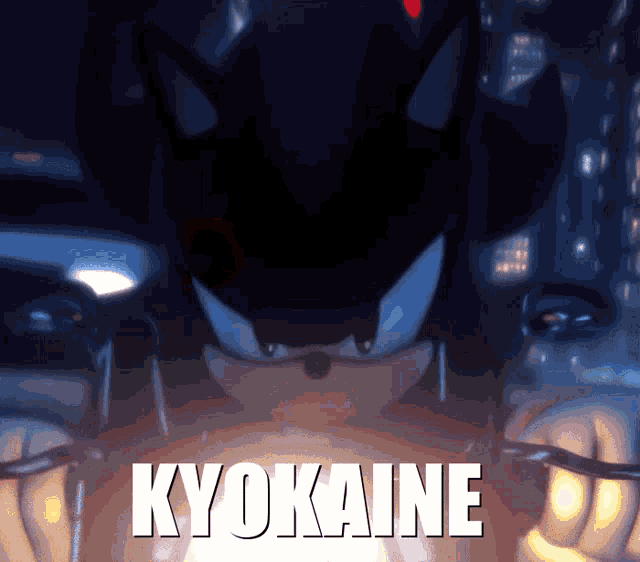 a picture of a shadow the hedgehog with the words kyokaine written on it