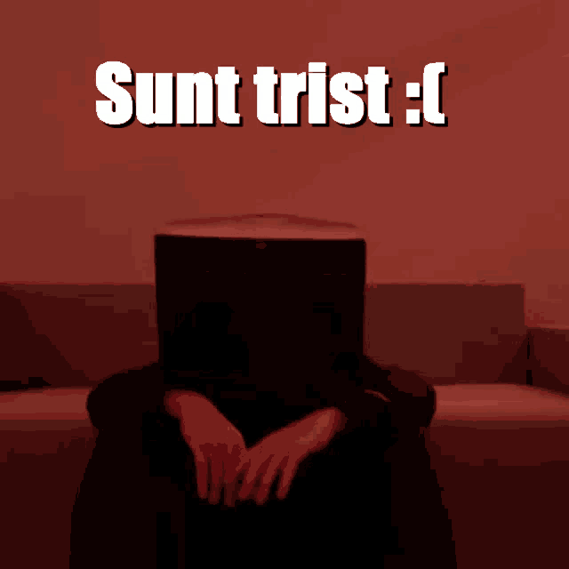 a person sitting on a couch with a laptop on their head and the words sunt trist