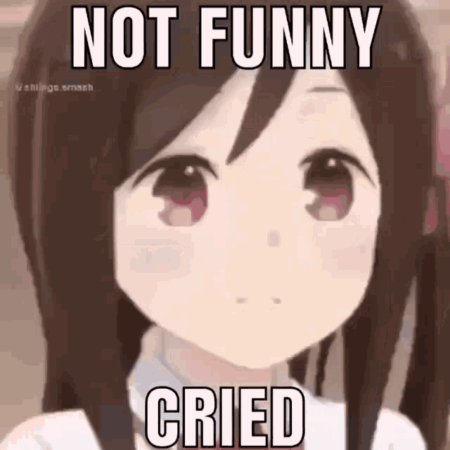 Cried Not Funny GIF - Cried Not Funny GIFs