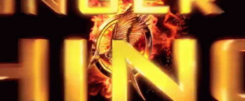 The Hunger Games Catching Fire GIF - The Hunger Games Catching Fire Mockingjay GIFs