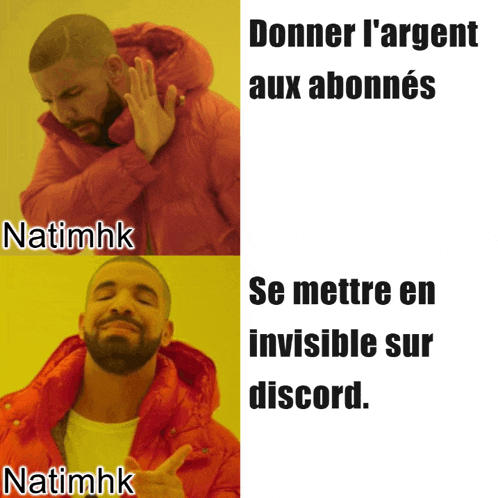 a drake meme that says donner l' argent aux abonnés se mettre en invisible sur discord
