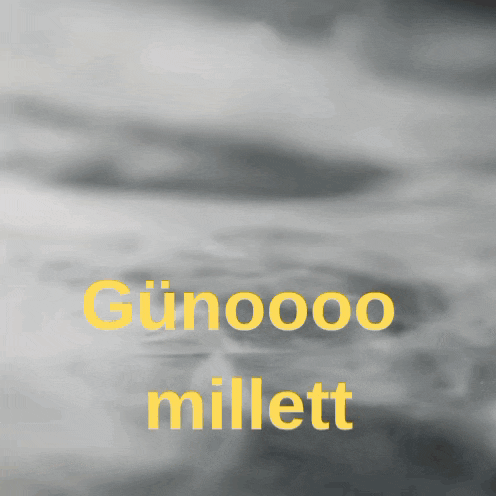 a black and white photo with the words gunoooo millett in yellow letters