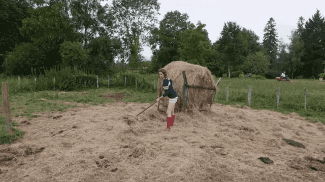 a girl wearing a blue shirt that says ' u.s.a. ' on it is raking hay