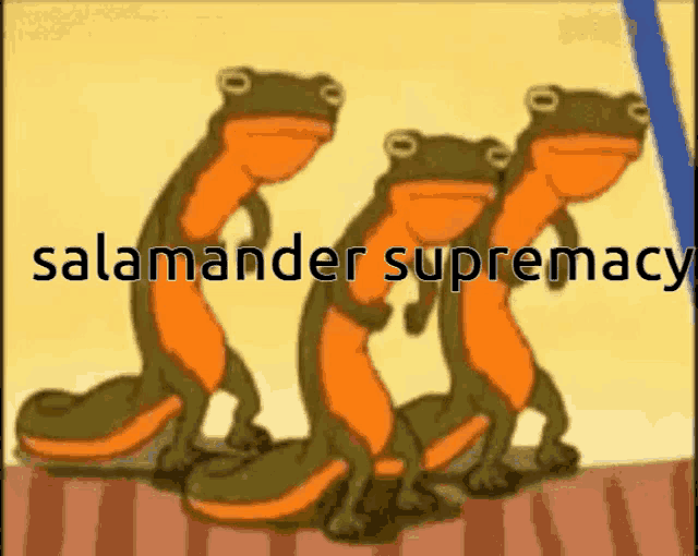 three lizards are standing next to each other with the words salamander supremacy written on the bottom