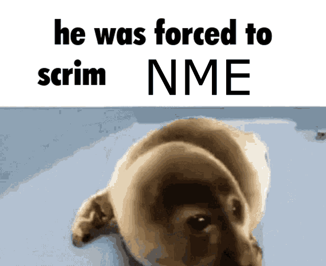 Scrims Nme GIF - Scrims Nme Forced To Scrim GIFs