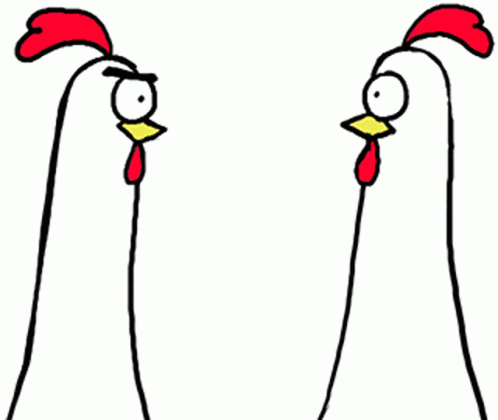 Hens Chicken GIF - Hens Chicken Talking GIFs