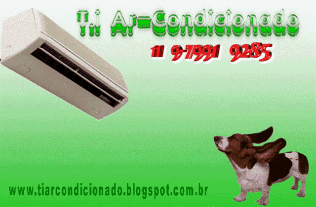 a picture of a basset hound with the website www.tiarcondicionado.blogspot.com
