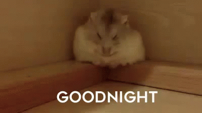 Goodnightbestie GIF - Goodnightbestie Goodnight GIFs