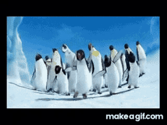a bunch of penguins are dancing in the snow