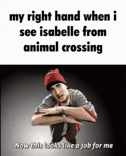 Eminem Animal Crossing GIF