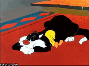 a cartoon of sylvester the cat and tweety laying on a rug