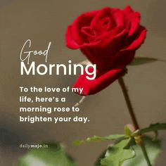 a red rose with a quote on it and a good morning to the love of my life .