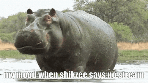 Shikzeee Stream Hippo GIF - Shikzeee Stream Shikzeee Hippo GIFs