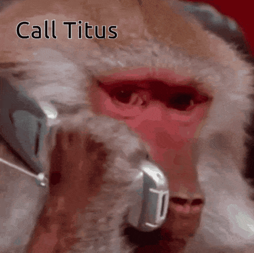 a close up of a monkey talking on a cell phone