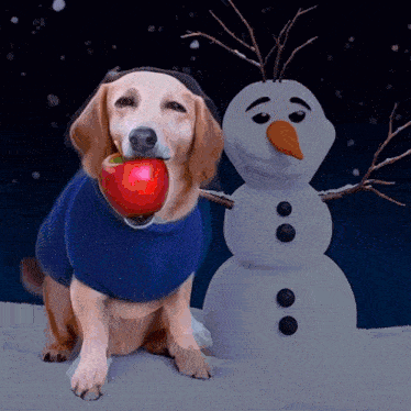 a dog holding an apple next to a snowman in the snow
