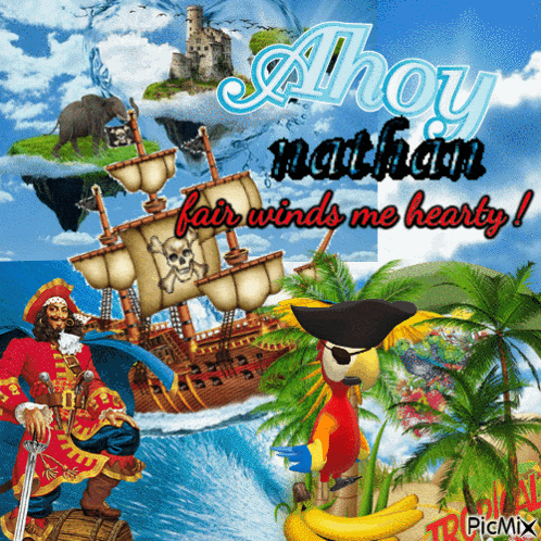 a picture of a pirate ship and a parrot says " ahoy nathan "