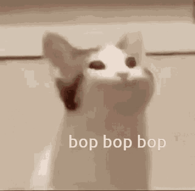 Bop Bop Bop Cat GIF - Bop Bop Bop Cat GIFs
