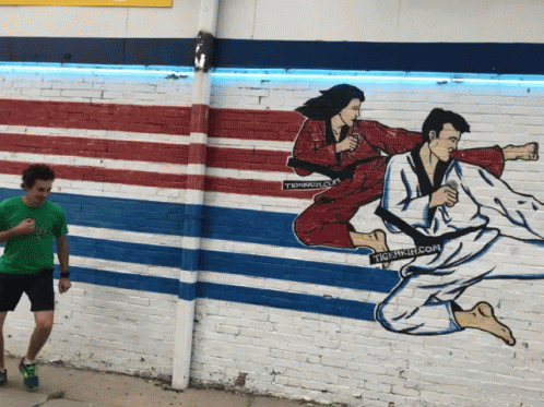 Karate Kick GIF