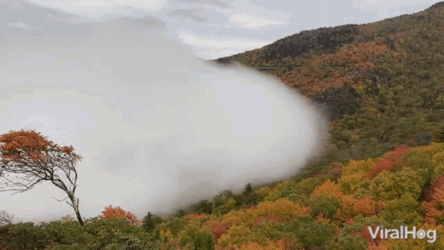 Clouds Viralhog GIF - Clouds Viralhog Encroach GIFs