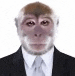 a monkey in a suit and tie is wearing a suit and tie .