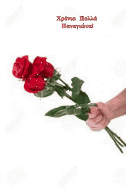 a person is holding a bouquet of red roses in their hand with a greeting in greek .
