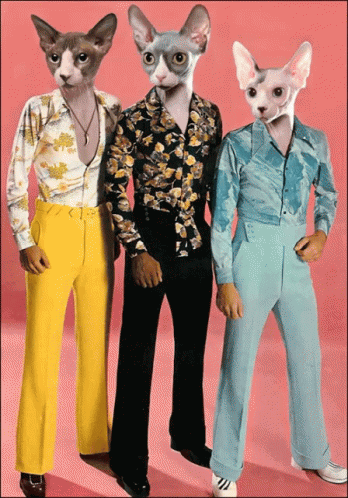Stayin Alive GIF - Stayin Alive Bee Gees Seventies GIFs