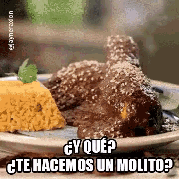 Mole Pollo Arroz Mole Con Pollo Y Arroz GIF - Mole Pollo Arroz Mole Con Pollo Y Arroz Molito GIFs