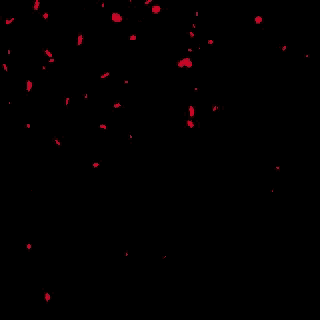 red petals falling on a black background