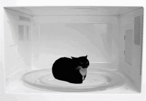 a black and white cat is laying on a white plate in a microwave