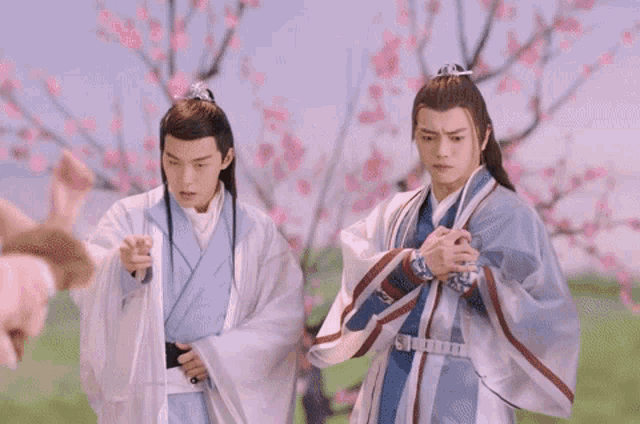 two men in traditional chinese costumes are standing next to each other in front of a field of flowers .