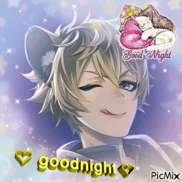 a picture of a boy with a cat sleeping on a pillow and the words good night