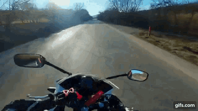 a person is riding a motorcycle down a road with trees in the background .