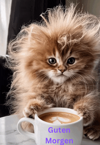 a fluffy kitten sits next to a cup of coffee that says guten morgen on it