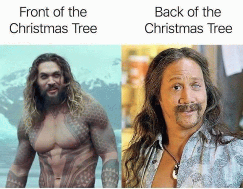 Back Of Christmas Tree GIF - Back Of Christmas Tree GIFs