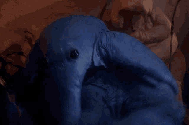 a close up of a blue monster with a long horn