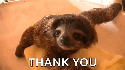 a picture of a sloth with the words thank you behind it